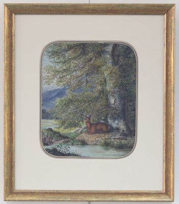 Lot 520 - Karl Haunold/Roe Deer under a Beech...