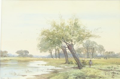 Lot 528 - CFA/Shepherd and Sheep in a Water...