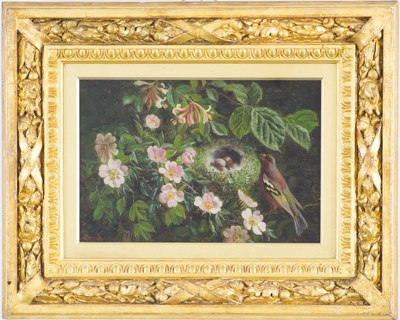 Lot 621 - W Hughes/Greenfinch by its Nest Amongst...