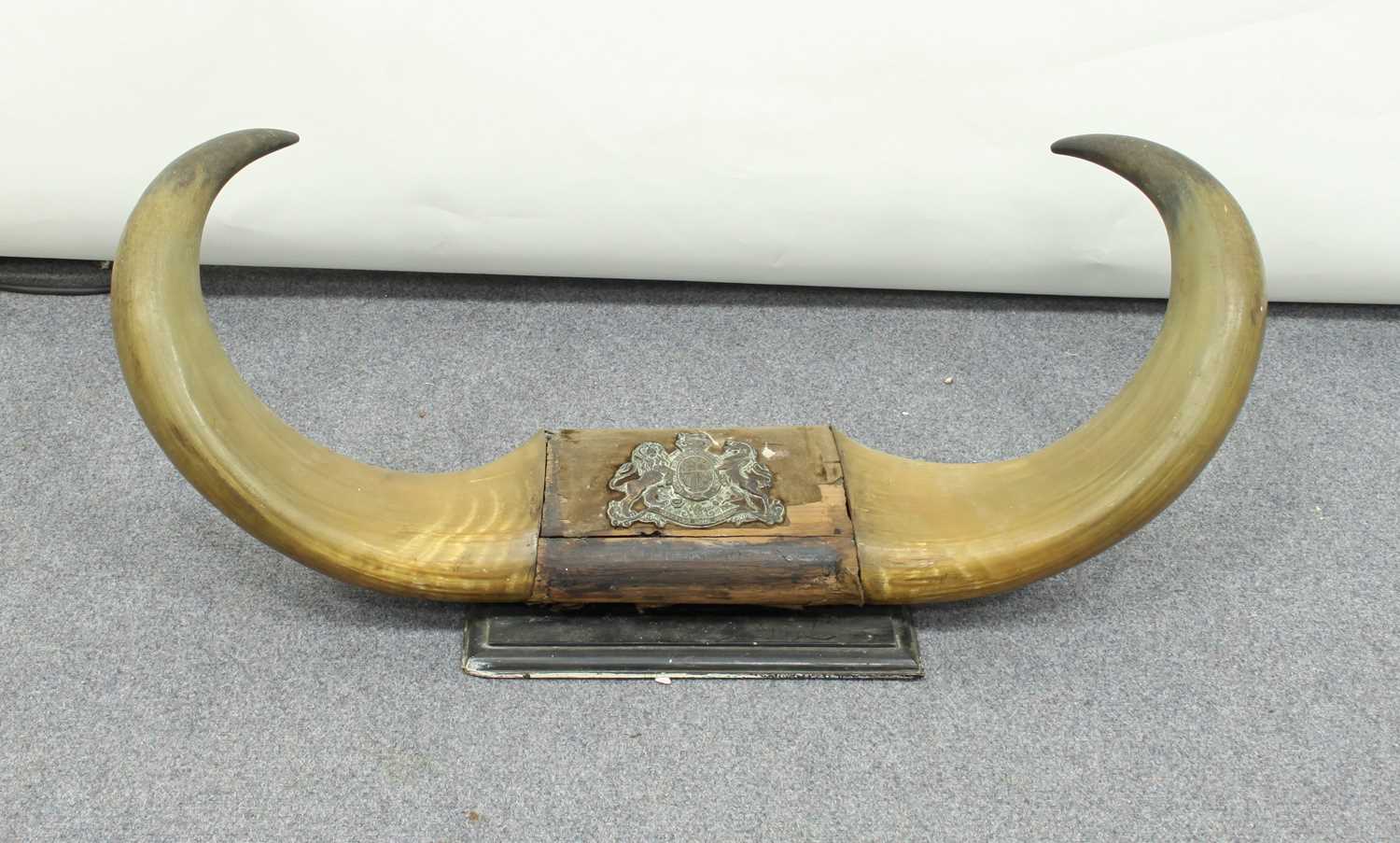Lot 962 - A pair of water buffalo horns, mounted and...