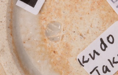 Lot 120 - Takumi Kudo (Japanese contemporary)