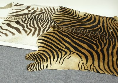 Lot 862 - Two Zebra skin rugs