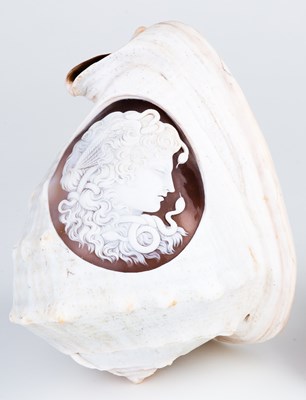 Lot 1 - A cameo shell carved an oval portrait of...