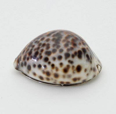 Lot 66 - A cowrie shell snuff box, the white metal...