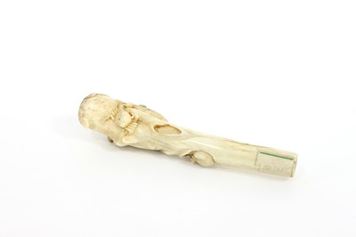 Lot 186 - A Japanese carved bone parasol handle, circa...