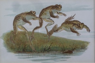 Lot 1034 - Dancing Frogs/pair of...