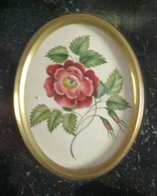 Lot 1074 - 19th Century English School/Roses/watercolour,...