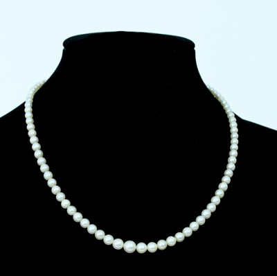 Lot 131 - A single row of graduated cultured pearls, to...