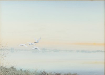 Lot 230 - Peter Hayman (British, born 1930)/Swans in...