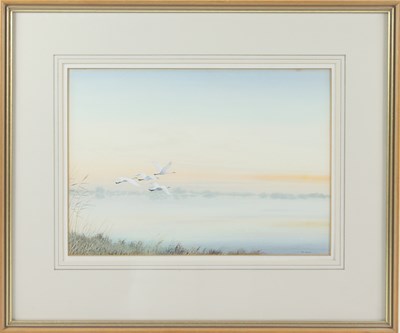 Lot 230 - Peter Hayman (British, born 1930)/Swans in...