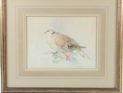 Lot 230 - Peter Hayman (British, born 1930)/Swans in...