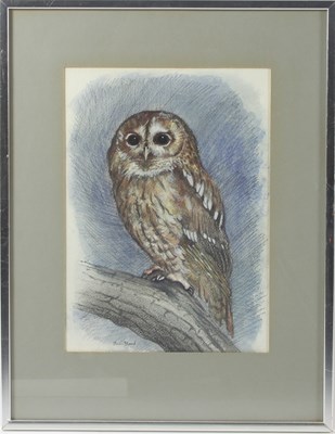 Lot 230 - Peter Hayman (British, born 1930)/Swans in...