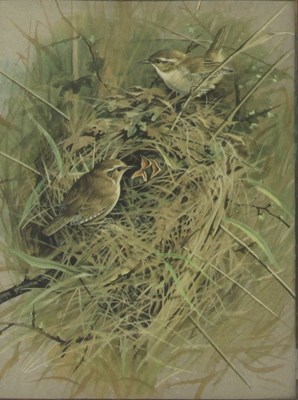 Lot 230 - Peter Hayman (British, born 1930)/Swans in...