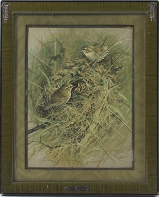 Lot 230 - Peter Hayman (British, born 1930)/Swans in...