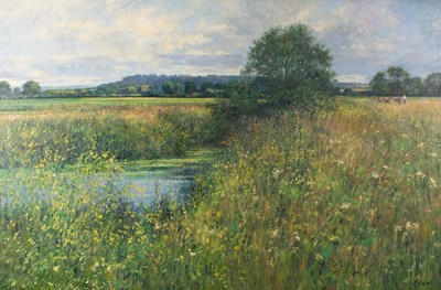 Lot 262 - Charles Neal (British, born 1951)/Meadow...