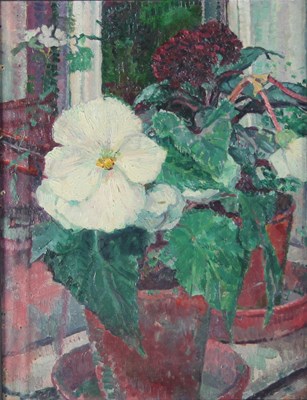 Lot 304 - M A Mathers/Begonia in a Pot/oil on canvas,...