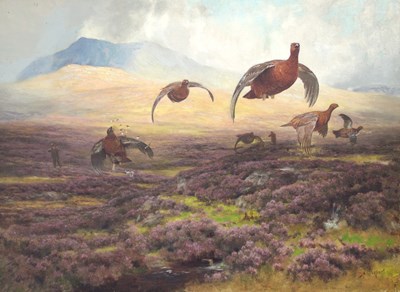 Lot 327 - Alfred Oliver (British 1886-1921)/Grouse...