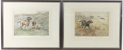 Lot 398 - Henry Pelham/Gun Dogs/a pair, signed/coloured...