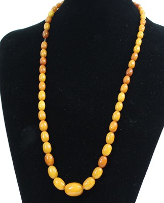 Lot 564 - A graduated amber bead necklace, the largest...