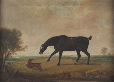 Lot 268 - Thomas Weaver/Portrait of a Black Horse and...