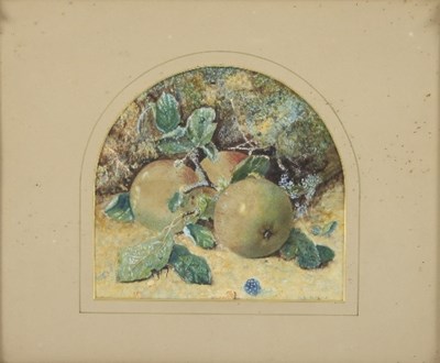 Lot 319 - Kate Higgins/Study of Fruit/signed/watercolour,...