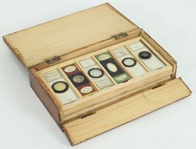 Lot 815 - Twenty polarised slides in five trays in a...