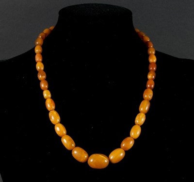 Lot 457 - An oval amber bead necklace of thirty-seven...