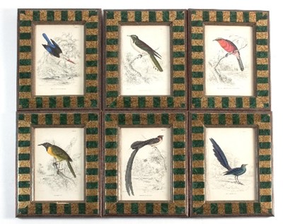 Lot 352 - Livars after Swanson/Six Ornithological...