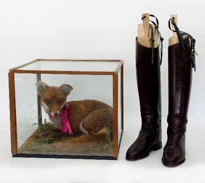 Lot 862 - A taxidermy fox in a glass case and a pair of...