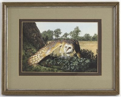 Lot 701 - Susan Preedy (20th Century)/Barn Owl in...