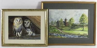 Lot 701 - Susan Preedy (20th Century)/Barn Owl in...
