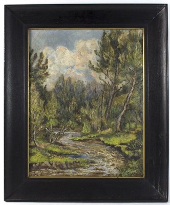 Lot 888 - Mary Prosser/After the Rain, Liesbeek River,...