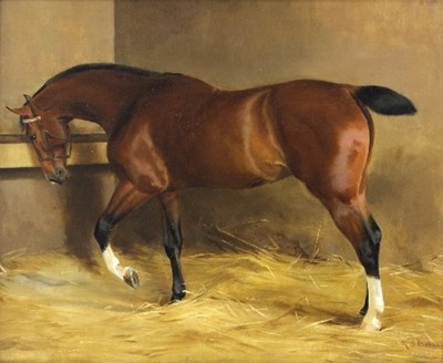 Lot 127 - Kate S Badcock/Study of a Bay Mare, Luna by...