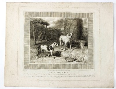 Lot 171 - Scott after Cooper/Crib and Rosa/black and...