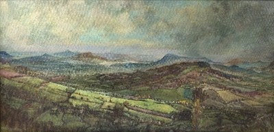 Lot 205 - Antony Kerr/View from Penault to the Brecon...