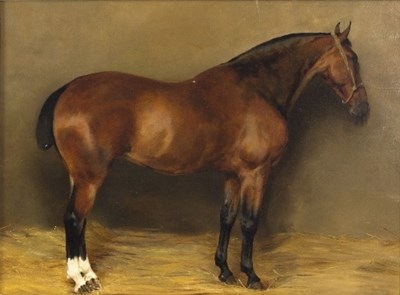 Lot 206 - Kate Badcock/Portrait of a Horse in a stable...