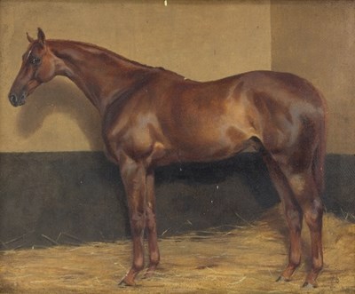 Lot 207 - Kate Badcock/Portrait of a Horse in a Stable...