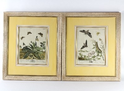 Lot 249 - After Moses Harris/Four Ornithological...