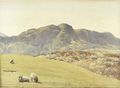 Lot 287 - Richard Redfern (British 1800-1900)/Mountain...