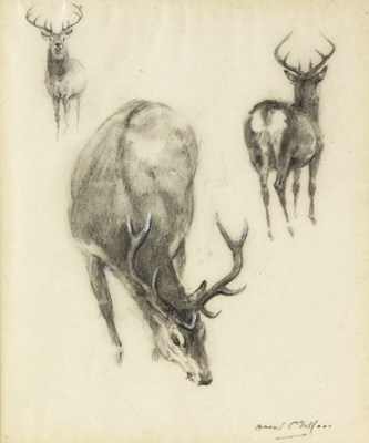 Lot 358 - Raoul Millais (British 1901-1999)/Studies of...