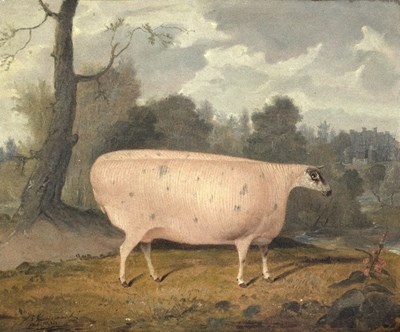 Lot 432 - G B Newmarch (British 1828-1849)/A Prize Sheep...