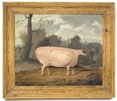 Lot 432 - G B Newmarch (British 1828-1849)/A Prize Sheep...