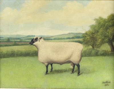 Lot 436 - Late 19th Century Naive School/Prize Sheep in...