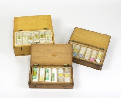 Lot 1276 - Three boxes of microscope slides, mostly of...