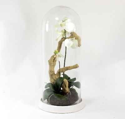 Lot 1277 - A faux orchid in a naturalistic setting cased...