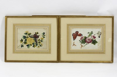 Lot 283 - 19th Century Chinese School/Five Botanical...