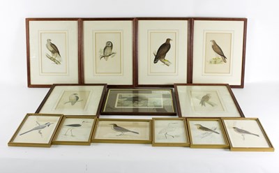 Lot 899 - Morris/Birds of Prey/six hand coloured...