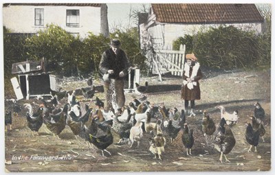 Lot 24 - A quantity of animal, bird and other postcards...