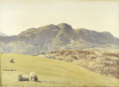 Lot 631 - Richard Redfern (British 1800-1900)/Mountain...