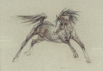 Lot 652 - L Stevenson, 1978/Arab Stallion/signed, pastel,...